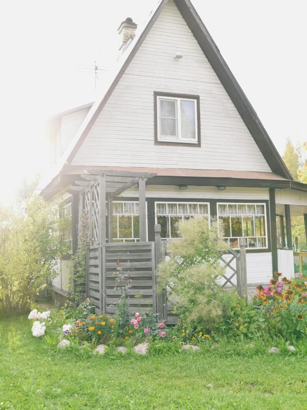 pexels-kseniachernaya-4450329